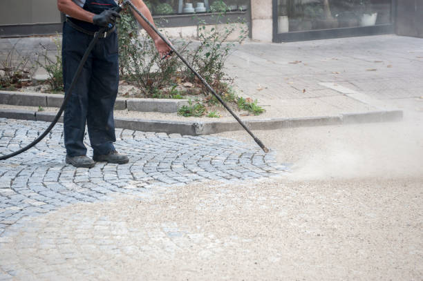 Best Fence Cleaning and Maintenance in Poynette, WI